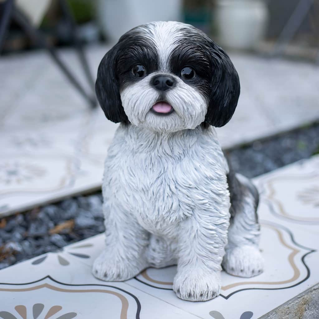 Sitting Baby Shih Tzu Outdoor Garden Statue - 12.5" - White and Black