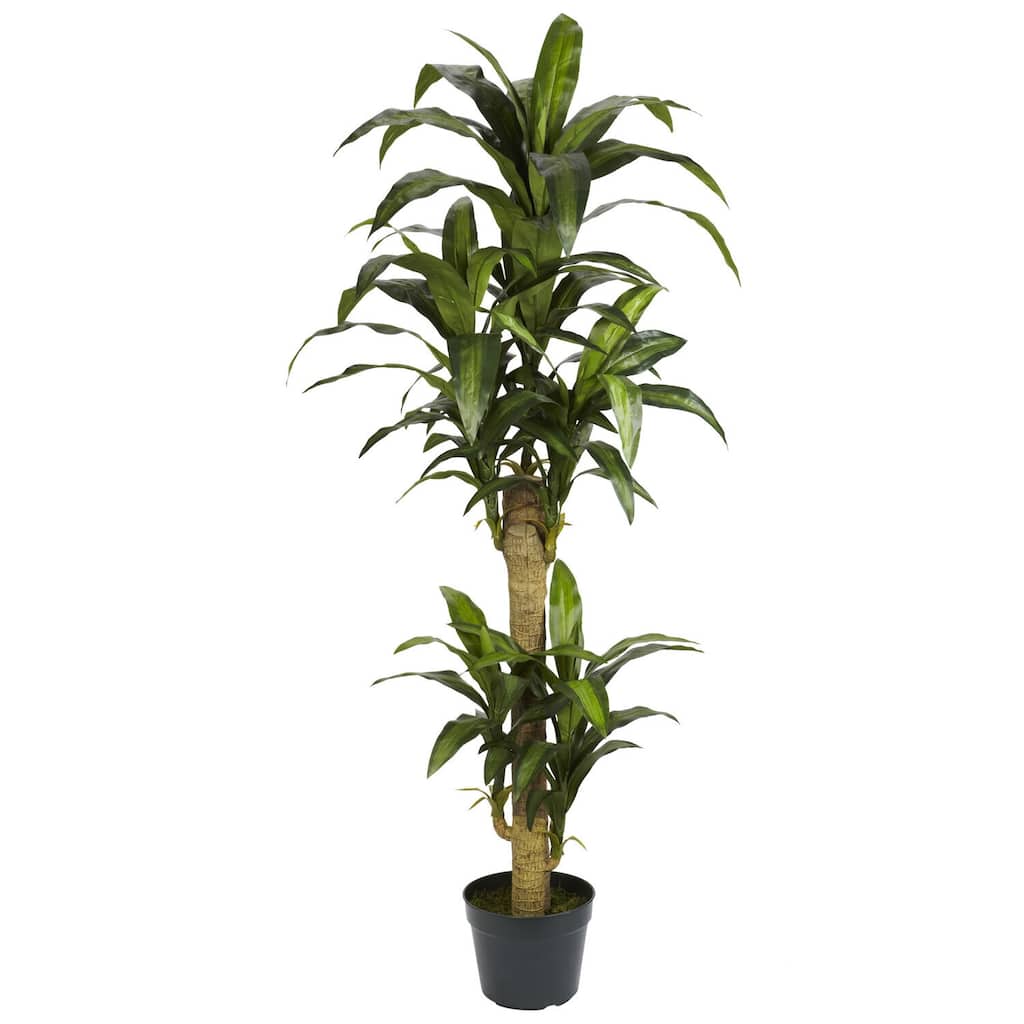 5 Ft Silk Plant - French Style Corn Stalk Plant for Home Office Decor - Realistic Faux Plant - 5ft.