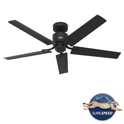 Hunter 52" Windbound Outdoor Ceiling Fan with Pull Chain