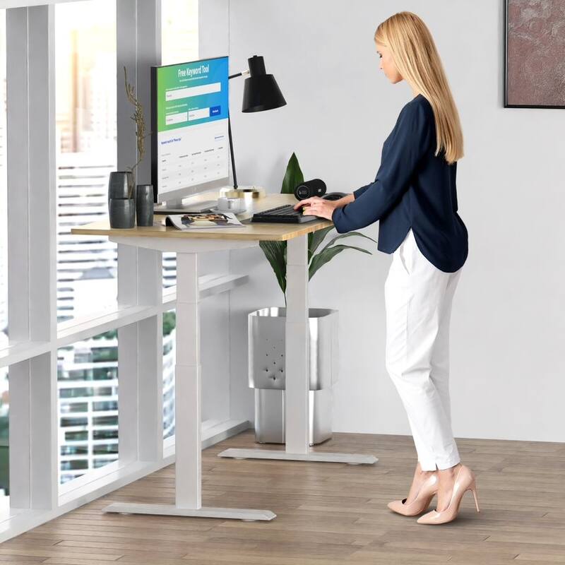 Rise Up Electric Standing Desk Dual Motor 48x30 solid bamboo desktop