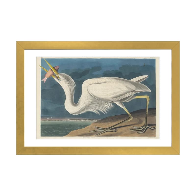 iCanvas "Great White Heron, 1835" by John James Audubon - Gold - 16x24x1