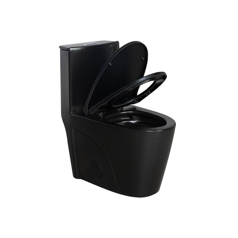 1.1/1.6 GPF Dual Flush 1-Piece Elongated Toilet with Matte Black