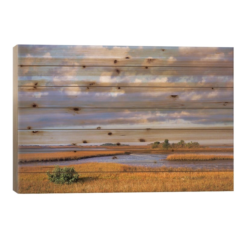 Saltwater Marshes At Cedar Key, Florida Print On Wood by Tim Fitzharris - Multi-Color - 26x40x1.5