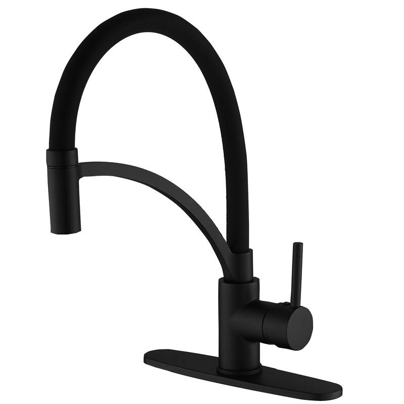 WIZ Single-Handle Pull-Down Sprayer 1 Spray High Arc Kitchen Faucet - Black