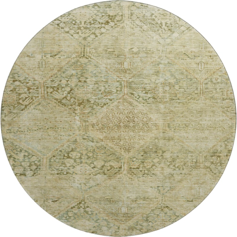 Premium Washable Super Soft Vintage Traditional Mayfield Rug