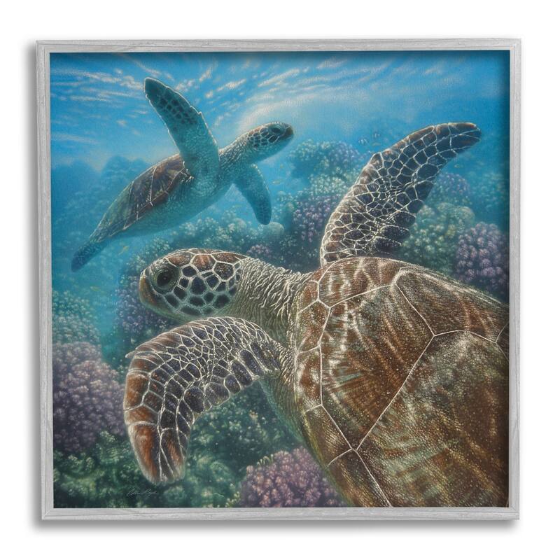 Stupell Sea Turtle Pair Coral Reef Ocean Life Scene Framed Wall Art - 24 x 24 - Grey