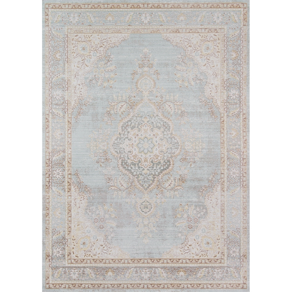 Momeni Isabella Vintage Traditional Medallion Area Rug