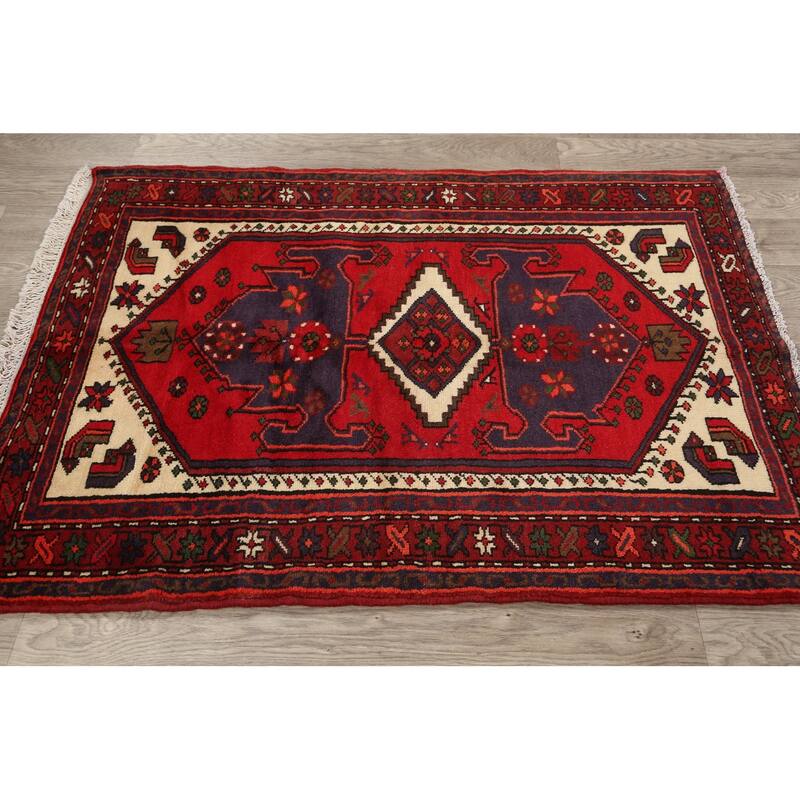 Tribal Traditional Hamedan Persian Area Rug Wool Hand-knotted Carpet - 3'4" x 4'7"