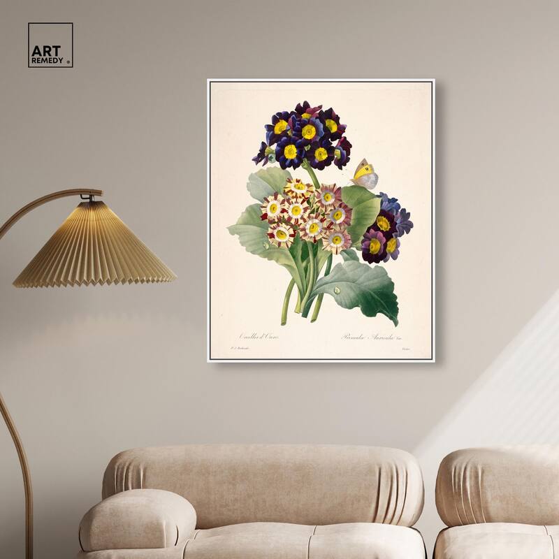 Auricula Varieties Canvas by Art Remedy