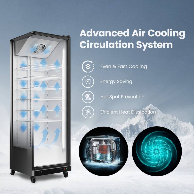 Yeego 17.48 cu.ft Commercial Beverage Display Cooler Refrigerator - 17.48 cu.ft