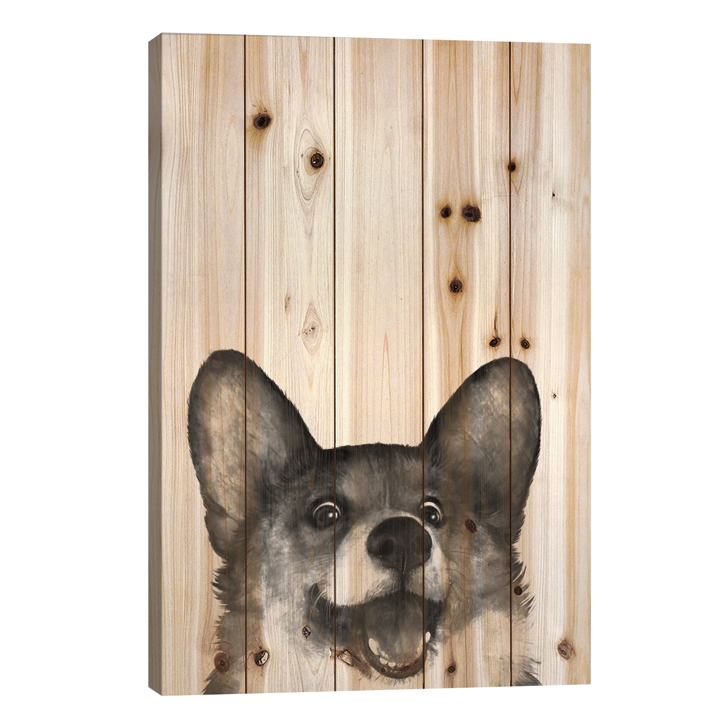 Corgi Print On Wood by Laura Graves - Multi-Color