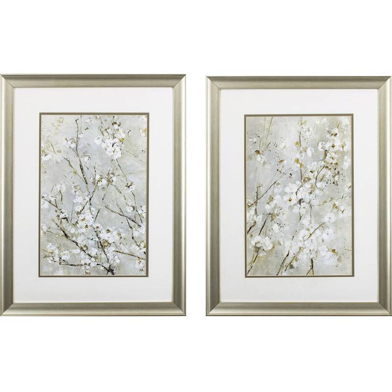 Blossoms S/2 Framed Art Under glass - 27 X 21 X 1