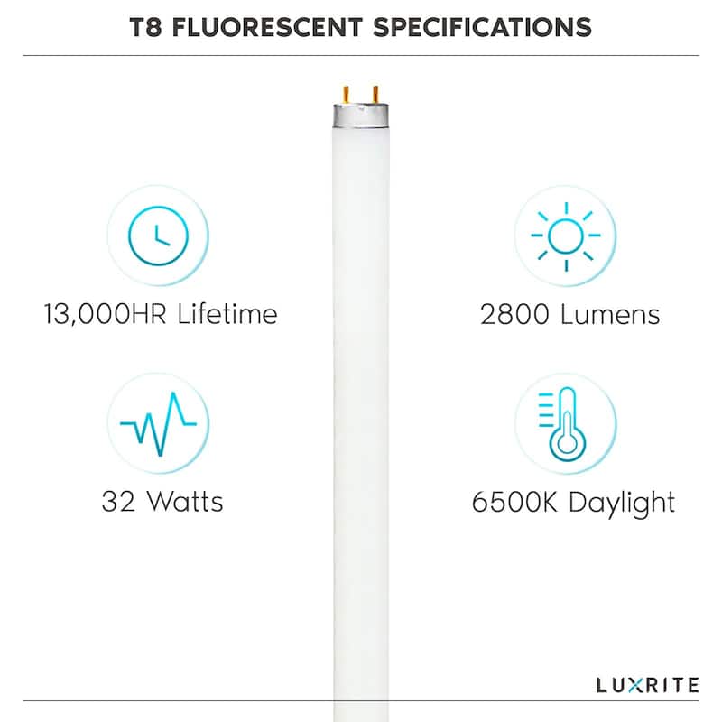 Luxrite 48 Inch T8 Fluorescent Tube Light Bulb 32W 6500K Daylight 2800 Lumens G13 Medium BiPin