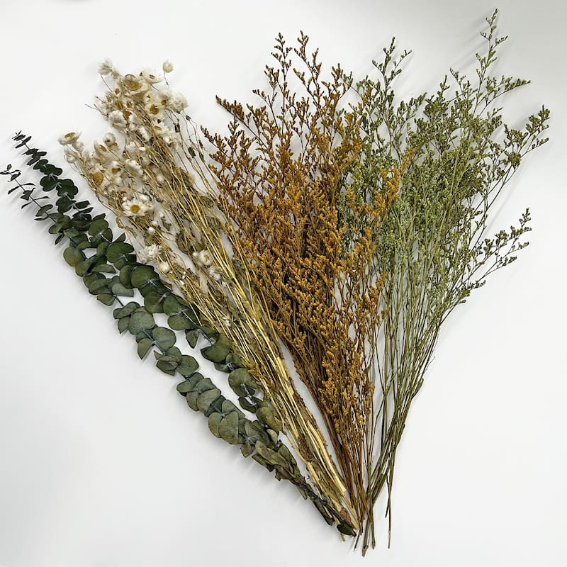 Real Preserved Mixed Bouquets Mix 6 Small - Med - Large - Multi Colored