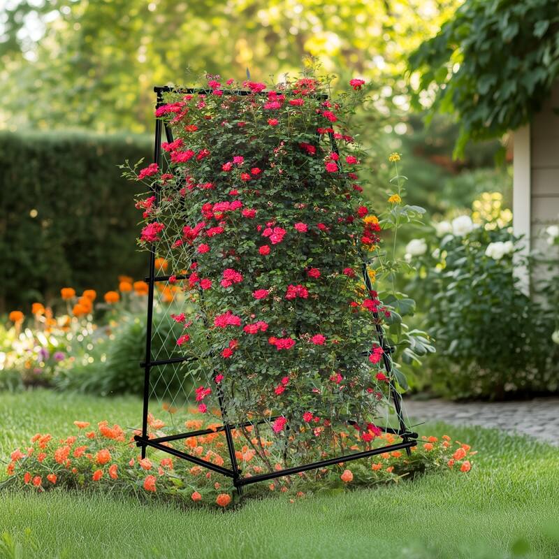 Vegetable Fruit Flower Trellis for Raised Bed Frame Garden Arch Metal Plant Support for Climbing Plants Cucumber Outdoor