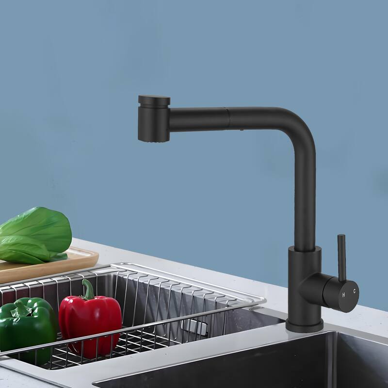 Topcraft Single Handle Pull-Out Stainless Steel Kitchen Faucet