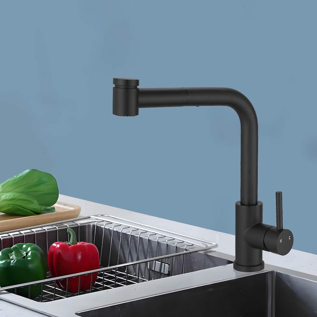 Topcraft Single Handle Pull-Out Stainless Steel Kitchen Faucet