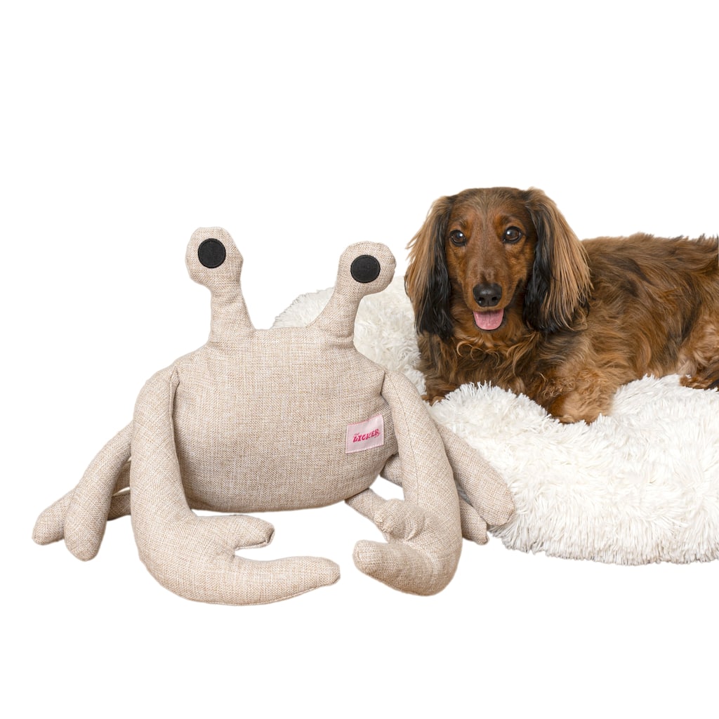 Edisto Coastal Seashore Chenille Squeaky Stuffed Dog Toy Set with Nosework Toy, Multi-Colored (3-Pack)