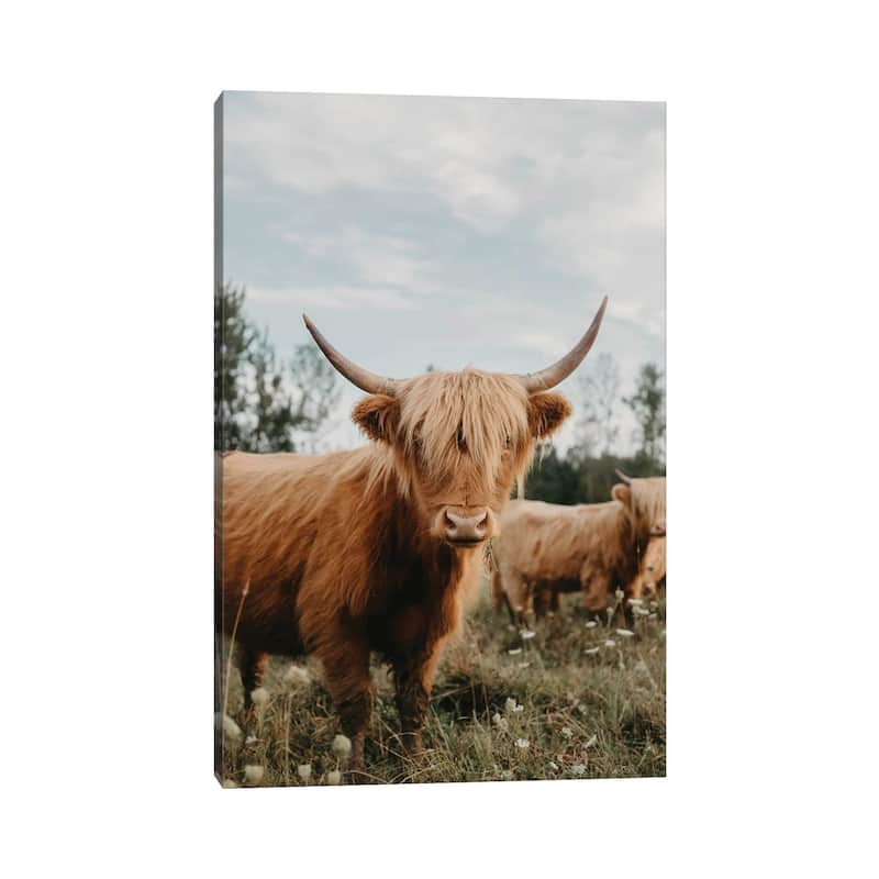 iCanvas "Highland Cow" by Chelsea Victoria Canvas Print