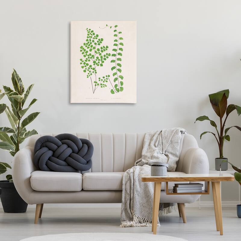 Stupell Vivid Green Ferns Study Canvas Wall Art Design By Phillipa Katz