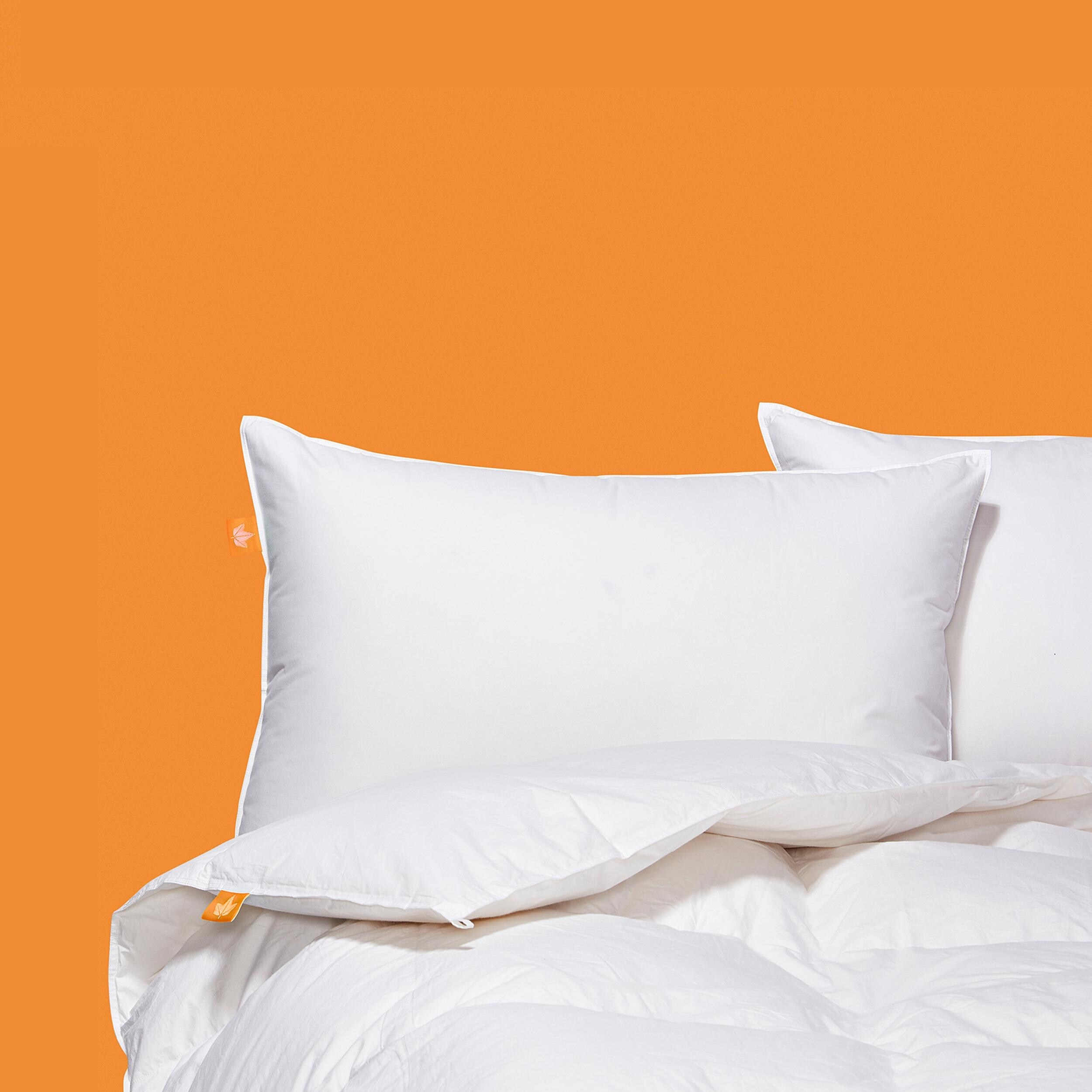 Canadian down & feather company regular weight hutterite white down duvet clearance