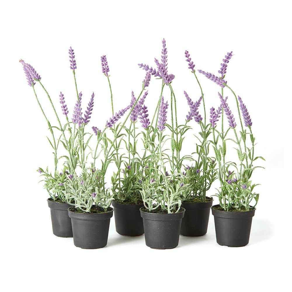 French Lavender Drop-In 13", Set Of 6 - Purple