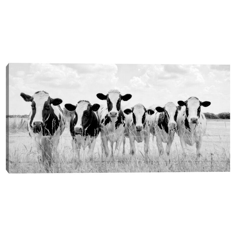 Grazing Pasture Canvas Art Print