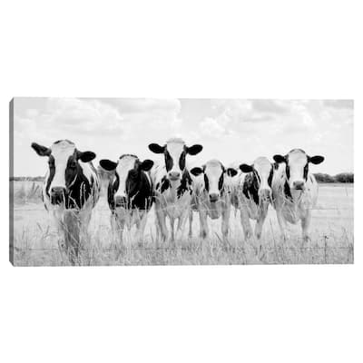 Grazing Pasture Canvas Art Print