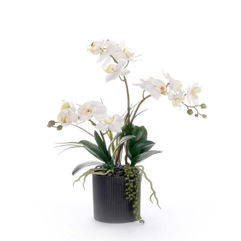 Real Touch White Orchid Flower Arrangement in Black Pot