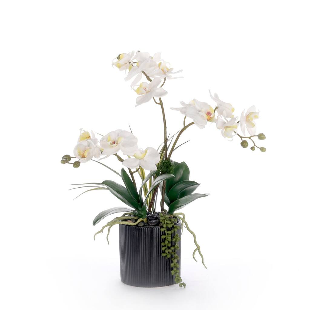 Real Touch White Orchid Flower Arrangement in Black Pot
