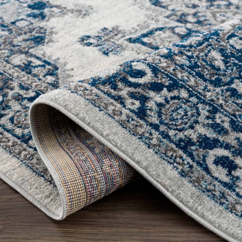 Hauteloom Istanbul Collection Vintage Oriental Traditional Medallion Area Rug