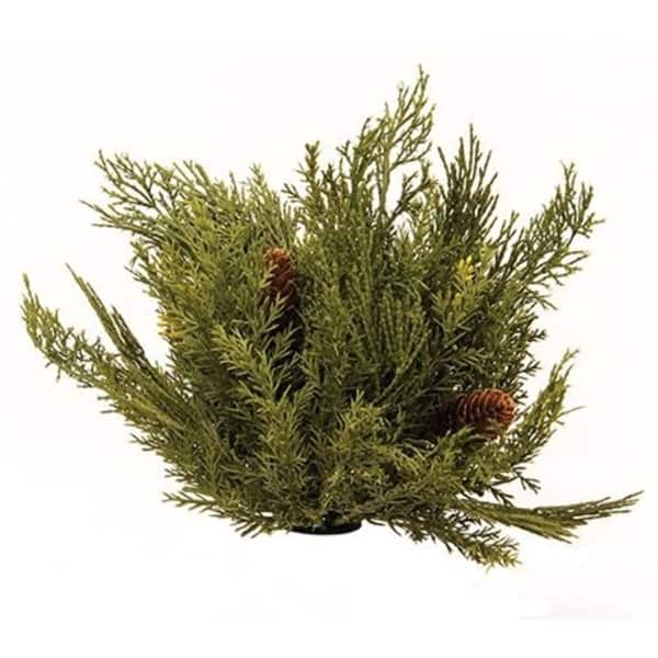 Alpine Cedar Half Sphere 11