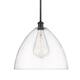 Option Oil Rubbed Bronze / Clear