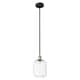 Option Clear / Black Antique Brass