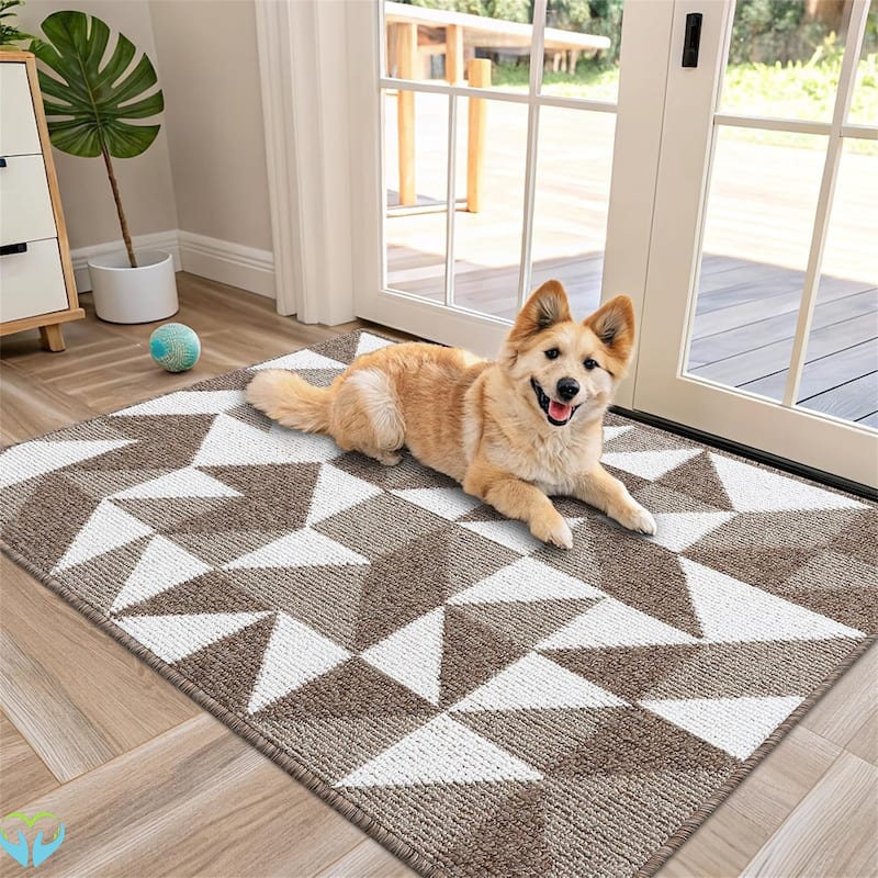 2 pack-Door Mat Indoor Entrance Washable