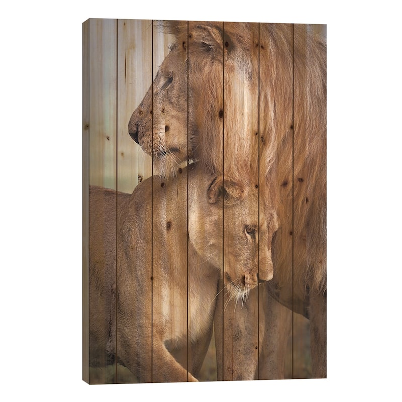 Wild Love Print On Wood by Ali Khataw - Multi-Color - 26x18x1.5