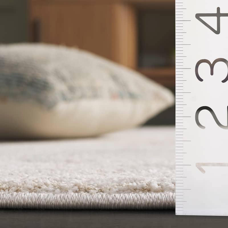 SAFAVIEH Northport Dimitrijka Rug