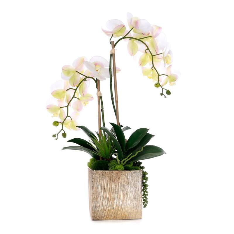 Real Touch Orchid Flower Arrangement in Cube Nickel Pot - White