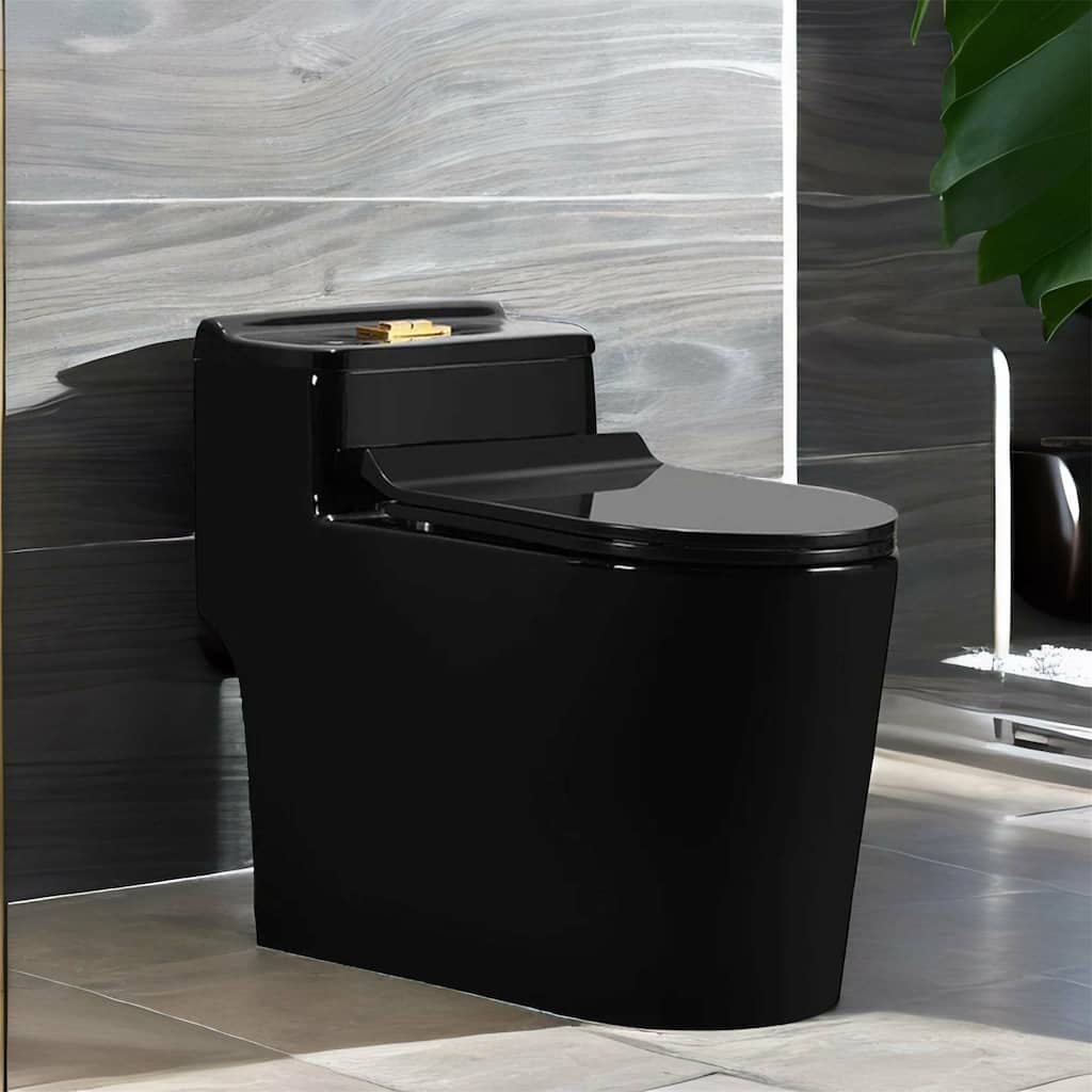 Black Saving Water One Piece Toilet with Seat