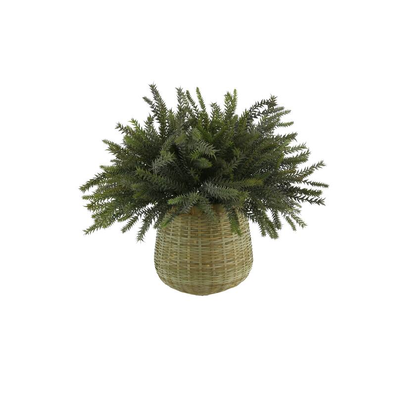 Frosted Fern Arrangement in a Bamboo Planter