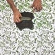 preview thumbnail 4 of 3, Green Chintz Square Tablecloth