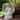 Alpine Corporation 19" Tall Old World Guardian Angel Outdoor Garden Statue