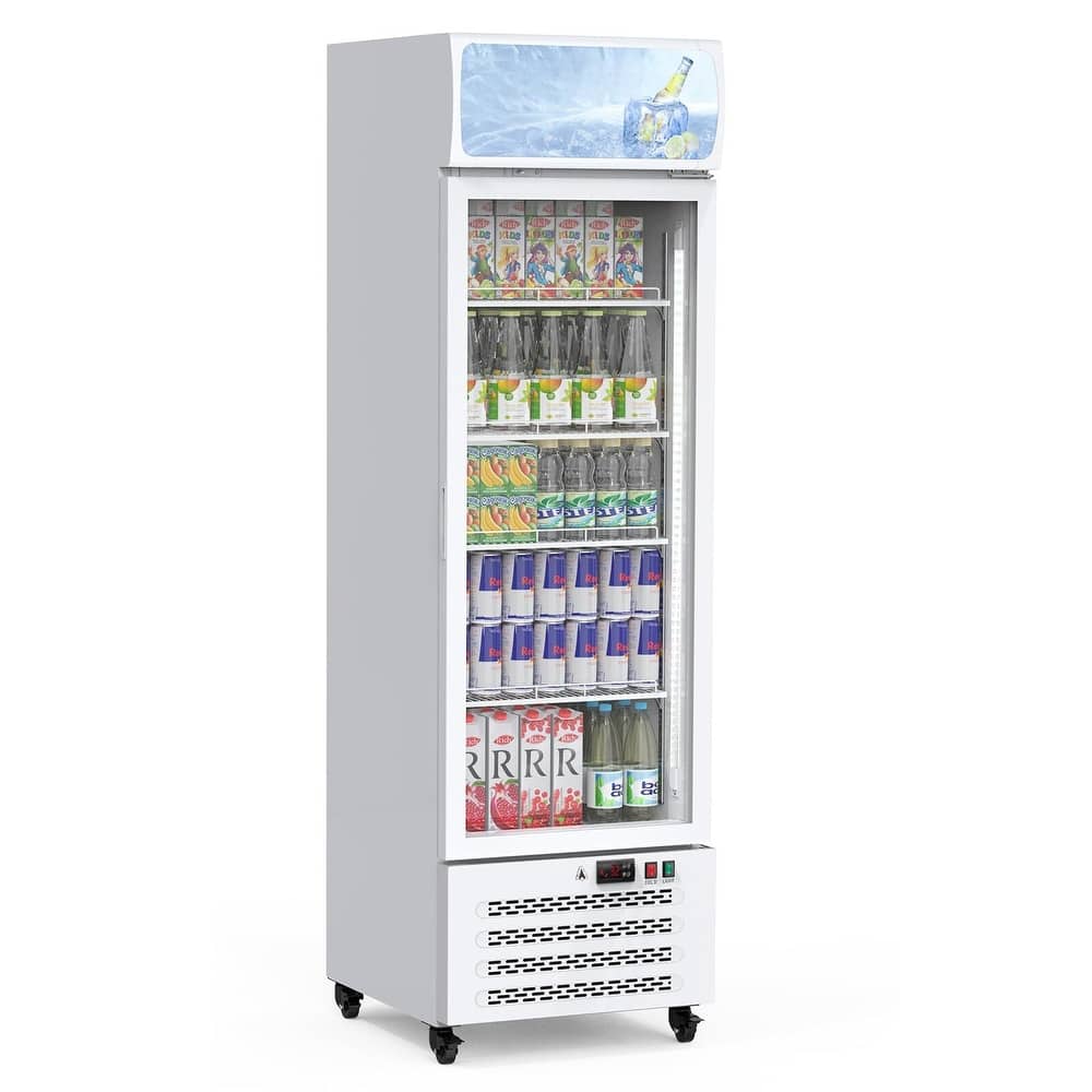 Commercial Display Refrigerator, 11.5 Cu.Ft.