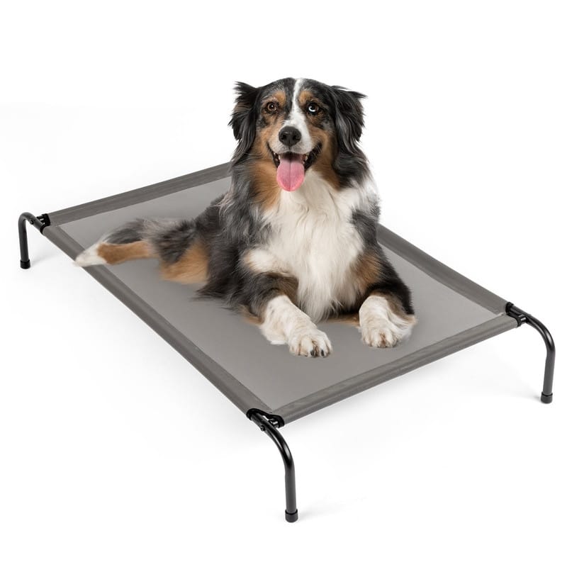 50 in. Portable Indoor/Outdoor Gray Teslin Top Pet Bed with Non-Slip Feet