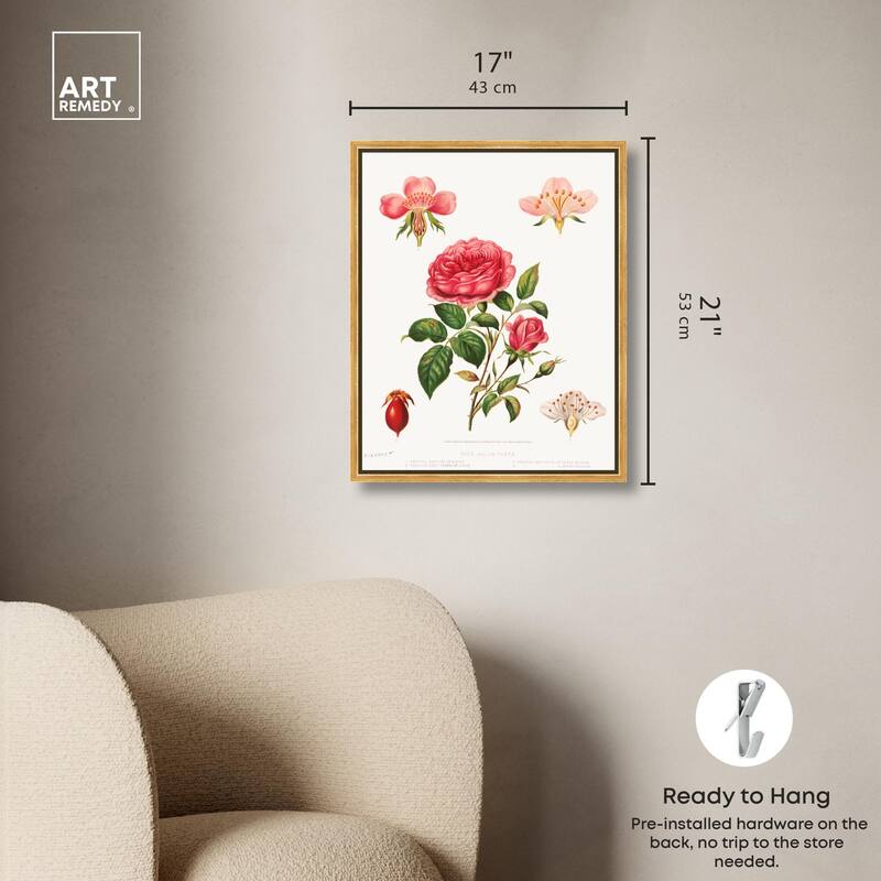 Rose and its parts (1872) Canvas by Art Remedy