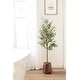 preview thumbnail 13 of 24, Kate and Laurel Oliveira Faux Olive Tree