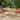Stamford Outdoor Wood Dining Table by Christopher Knight Home