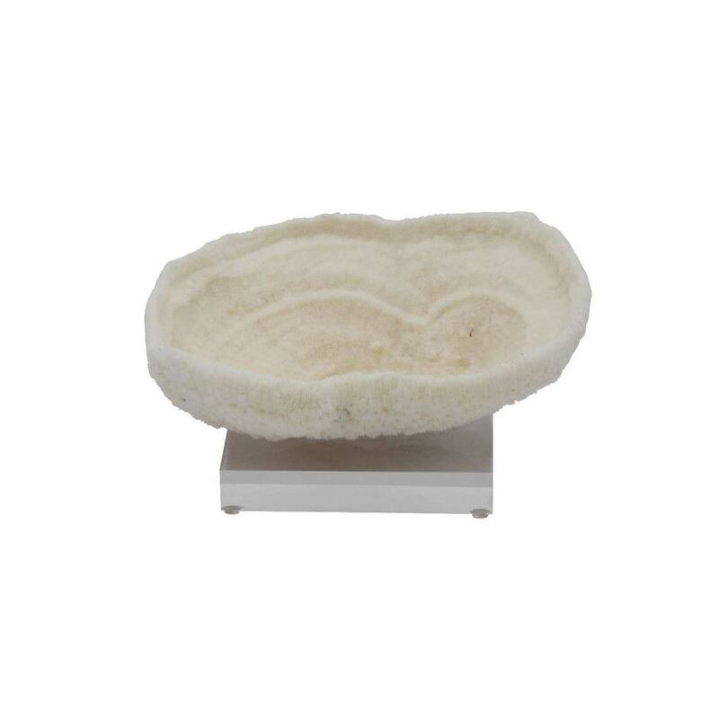 Bowl Coral 8-10 Inch On Acrylic Base