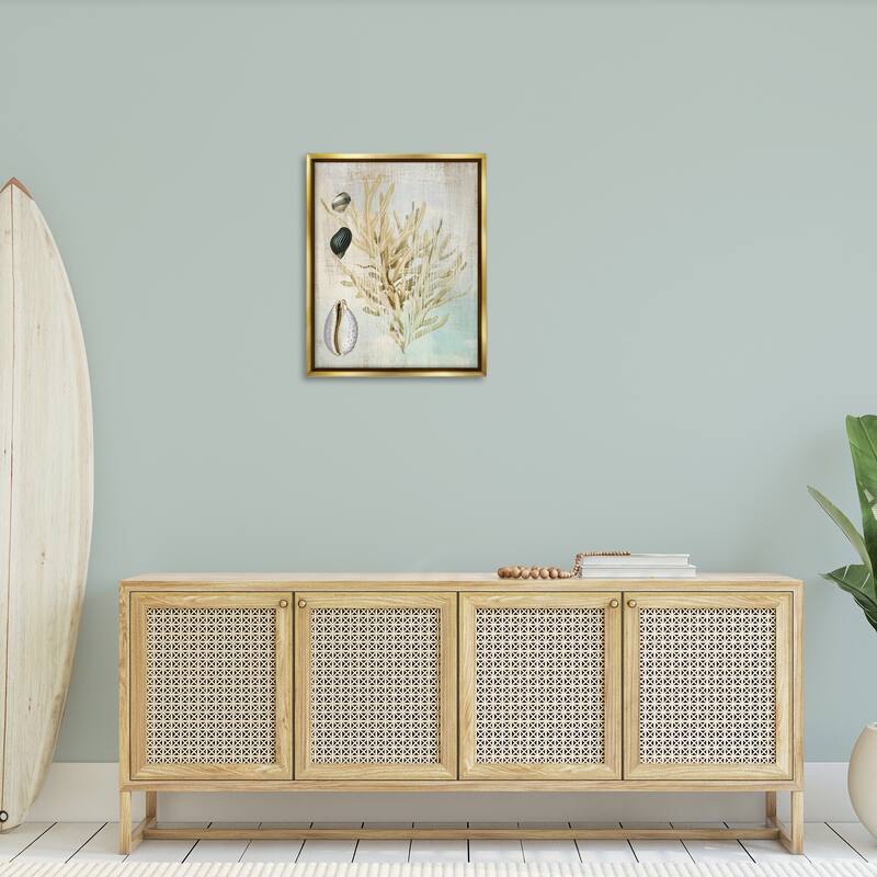 Stupell Coral Branch & Cowrie Shells Framed Floater Canvas Wall Art Design By Susan Arnot