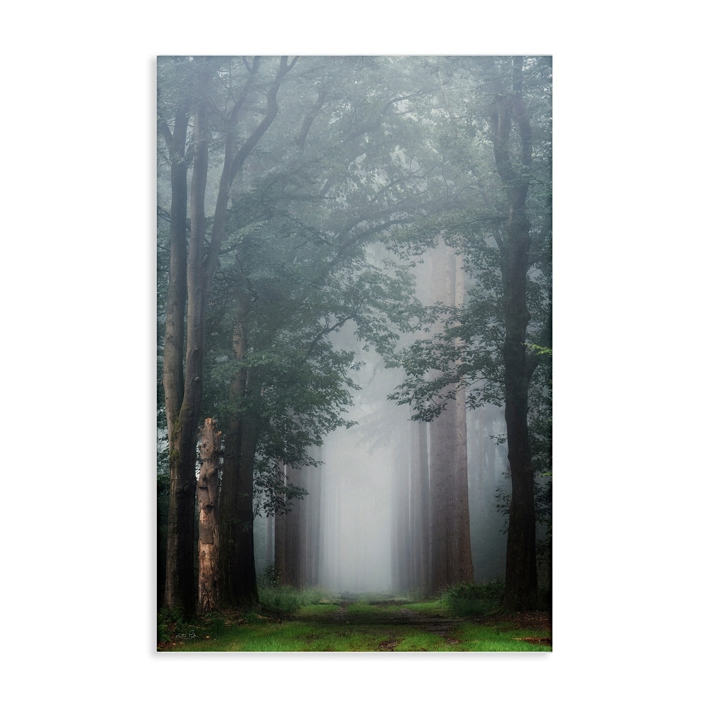Stupell Calm Forest Clearing Canvas Wall Art Design By Martin Podt